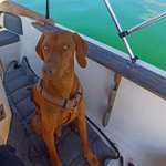 Ersteller:in Melissa Profilbild