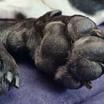 Ersteller:in Mandy Profilbild