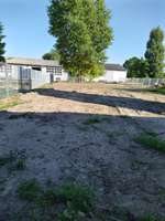 Hundeauslaufgebiet-Tobefläche-Bild