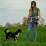 Ersteller:in Josi Profilbild