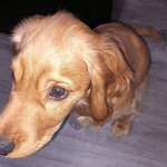 Ersteller:in Michael Profilbild