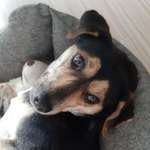 Ersteller:in Sabine Profilbild