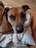 Bettel Blicke-Beitrag-Bild