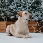 Ersteller:in Eric Profilbild