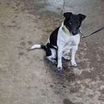 Ersteller:in Birgit Profilbild