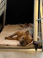 Liegeposition normal?-Beitrag-Bild