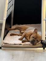 Liegeposition normal?-Beitrag-Bild