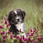 Ersteller:in Elena Profilbild