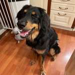 Ersteller:in Anita Profilbild