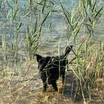 Ersteller:in Barbara Profilbild