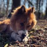 Ersteller:in Toni Profilbild