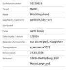 Suchmeldung-Ava (Svea)-Bild