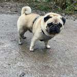 Ersteller:in Georgina Profilbild