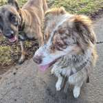 Ersteller:in Jana Profilbild