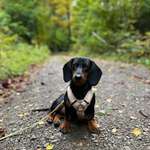 Ersteller:in Mia Profilbild