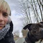 Ersteller:in Stephanie Profilbild