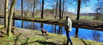 Hundeauslaufgebiet-Schloss Clemenswerth Sögel-Bild