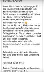 Suchmeldung-Baia-Bild