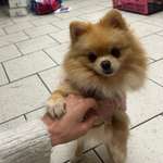 Ersteller:in Alina Profilbild