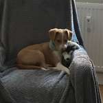 Ersteller:in Silke Profilbild