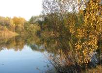 Hundeauslaufgebiet-Thalersee-Bild