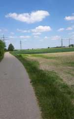 Hundeauslaufgebiet-Thalersee-Bild