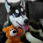 Ersteller:in Michelle Profilbild