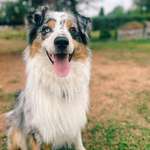 Ersteller:in Janina Profilbild