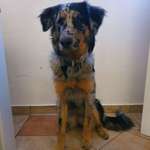 Ersteller:in Magda Profilbild