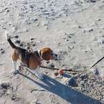 Ersteller:in Anja Profilbild