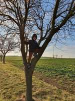 Hundeauslaufgebiet-Feld Runde zwischen Grumbach / Pohrsdorf-Bild