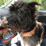 Ersteller:in Kerstin Profilbild