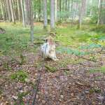 Ersteller:in Loulou Profilbild