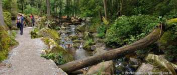 Hundeauslaufgebiet-Saußbachklamm-Bild