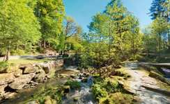 Hundeauslaufgebiet-Saußbachklamm-Bild