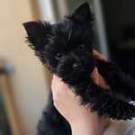 Ersteller:in Angeliki Profilbild