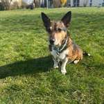 Ersteller:in Aliyah lynn Profilbild