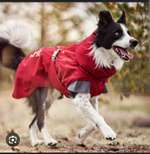 Hundemantel Hurtta Bare Winterjacke - Erfahrungen-Beitrag-Bild