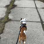 Ersteller:in Tom Profilbild