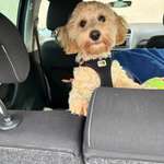 Ersteller:in Kathrin Profilbild