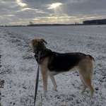 Ersteller:in Pierre Profilbild