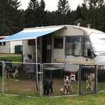 Ersteller:in Conny Profilbild