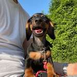 Ersteller:in Sophia Profilbild