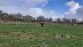 Hundeauslaufgebiet-Friedrichskoog-Spitze-Bild