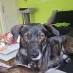 Ersteller:in Sascha Profilbild