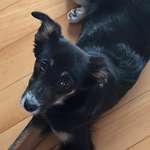 Ersteller:in Eva Profilbild