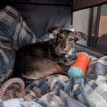 Ersteller:in Jasmin Profilbild