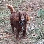 Ersteller:in Manu Profilbild