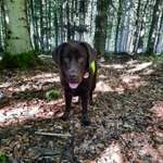 Ersteller:in Steffi Profilbild