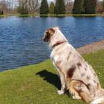 Ersteller:in Sylvia Profilbild